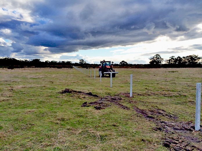 Concrete posts in a 1.5km fence line