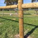 Rural-fencing-4 thumbnail