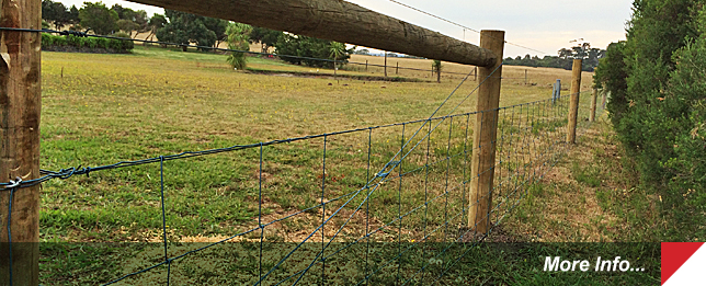 Farm Fencing in Gippsland